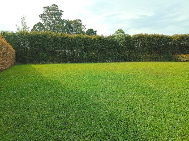 Lote en venta ubicado en Rionegro, sector Llanogrande