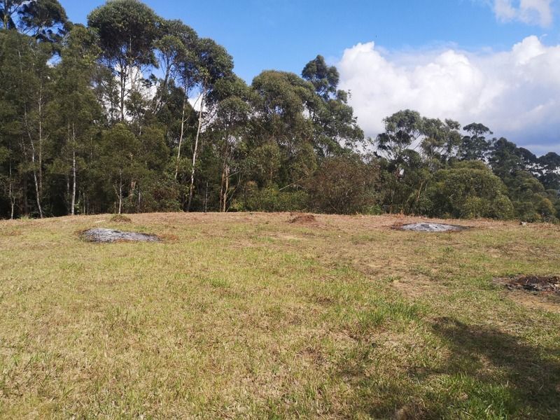 Lote en venta ubicado en Rionegro, sector Vereda los Pinos