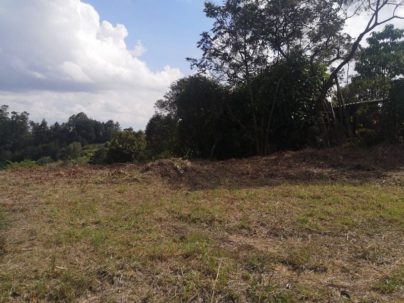 Lote en venta ubicado en Rionegro, sector Vereda los Pinos
