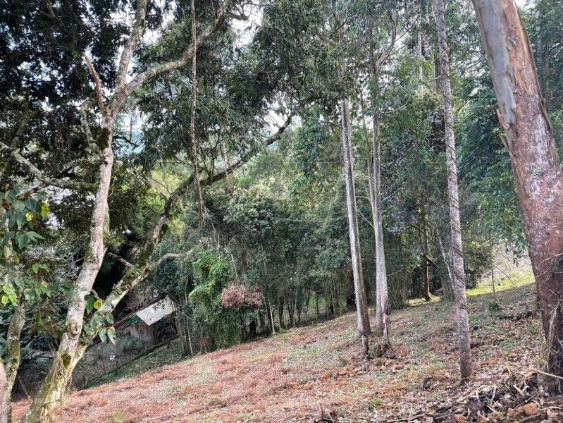 Lote en venta ubicado en Rionegro, sector Quirama