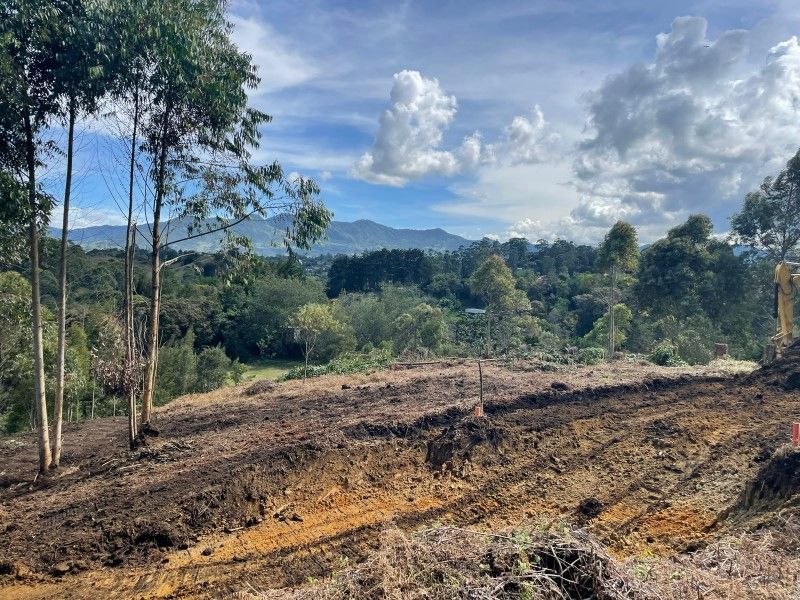 Lote en venta ubicado en Rionegro, sector Quirama
