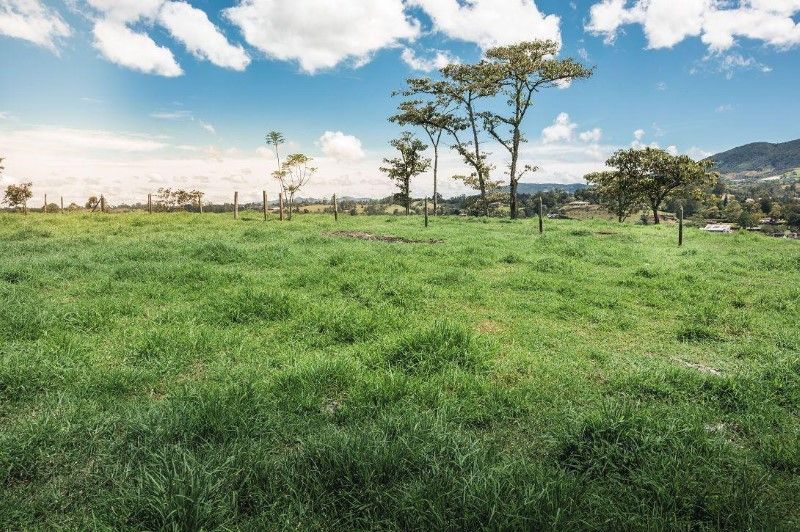 Lote en venta ubicado en Rionegro, sector El Yarumo