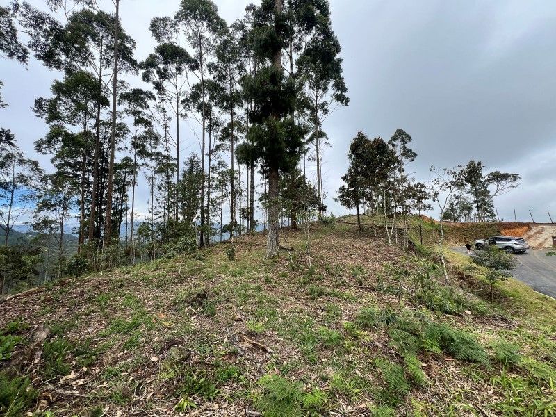 Lote en venta ubicado en El Retiro, sector Don Diego