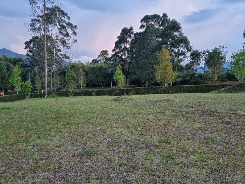 Lote en venta ubicado en La Ceja, sector Vereda Guamito