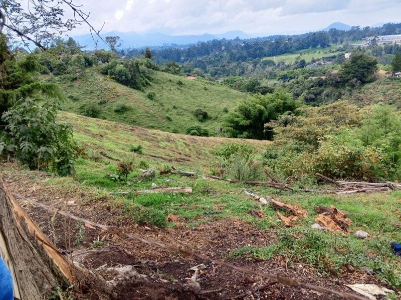 Lote en venta ubicado en Rionegro