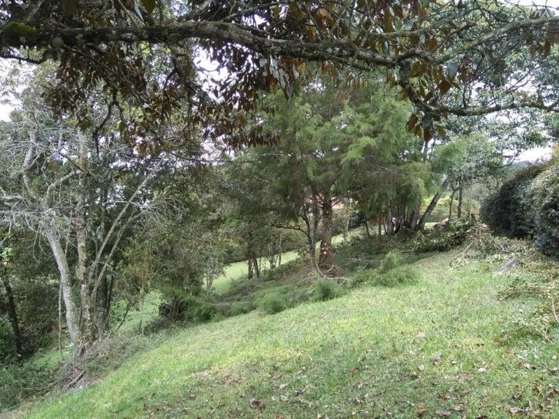 Lote en venta ubicado en Rionegro, sector Tablazo