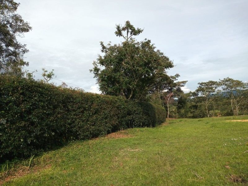 Lote en venta ubicado en Rionegro, sector Tablazo
