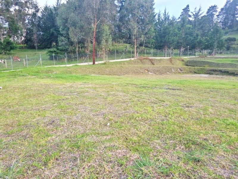 Lote en venta ubicado en El Retiro, sector Fizebad