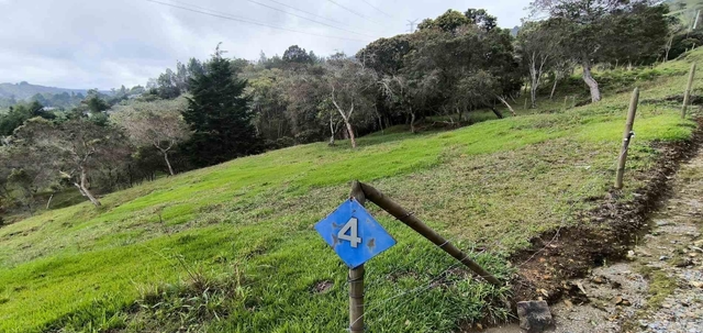 Lote en venta ubicado en Medellín, sector Vereda la Honda