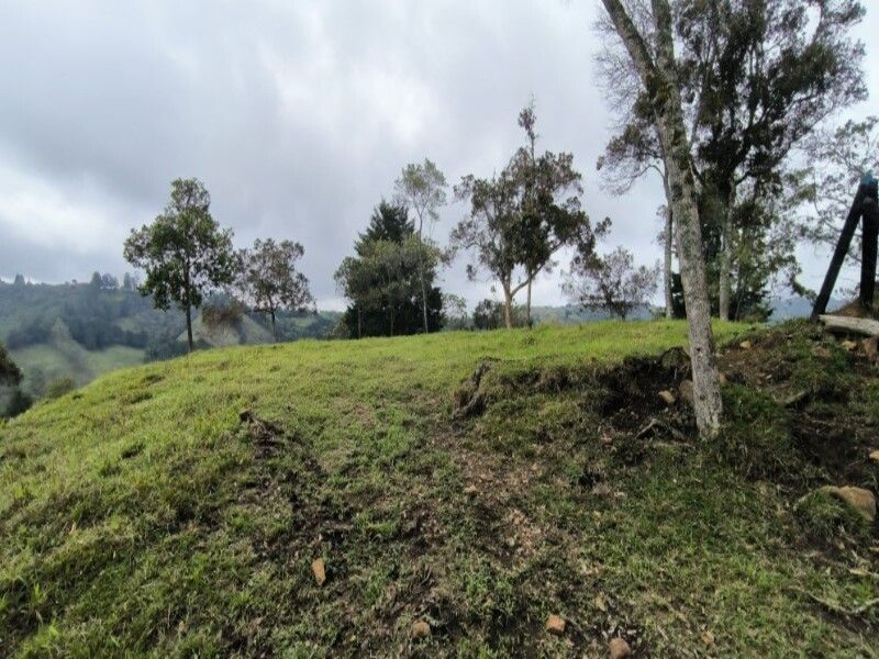 Lote en venta ubicado en Medellín, sector Vereda la Honda