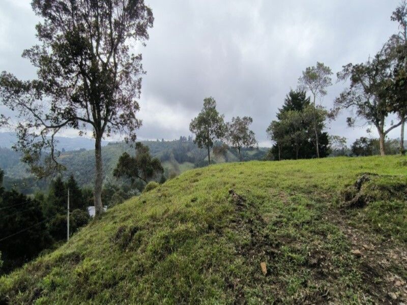 Lote en venta ubicado en Medellín, sector Vereda la Honda
