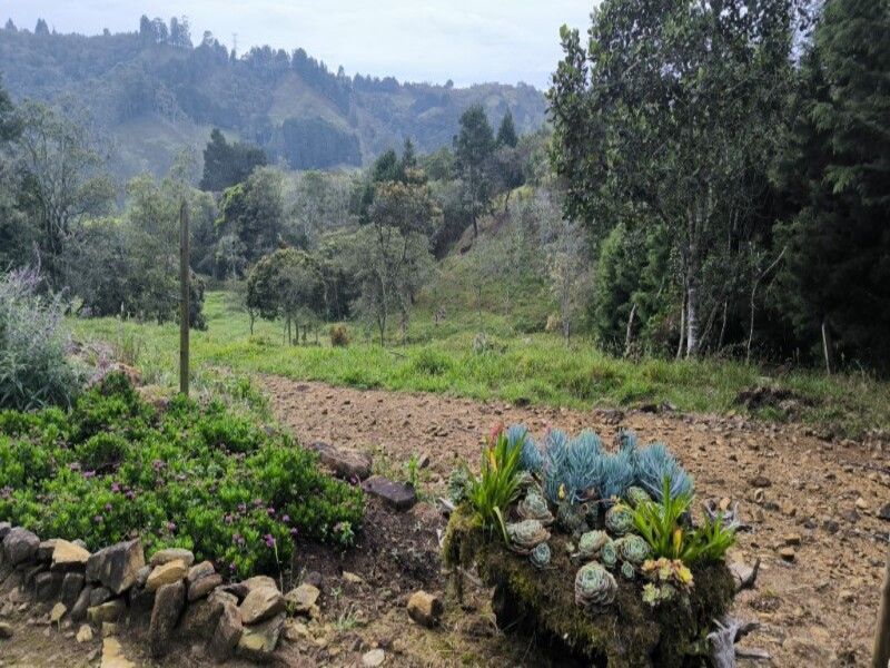 Lote en venta ubicado en Medellín, sector Vereda la Honda