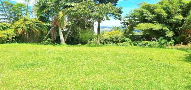 Lote en venta ubicado en El Retiro, sector Don Diego la Fe