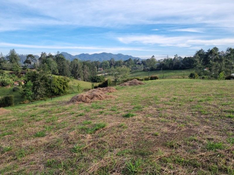 Lote en venta ubicado en El Retiro, sector Fizebad