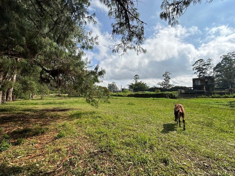 Lote en venta ubicado en Rionegro, sector Barro Blanco
