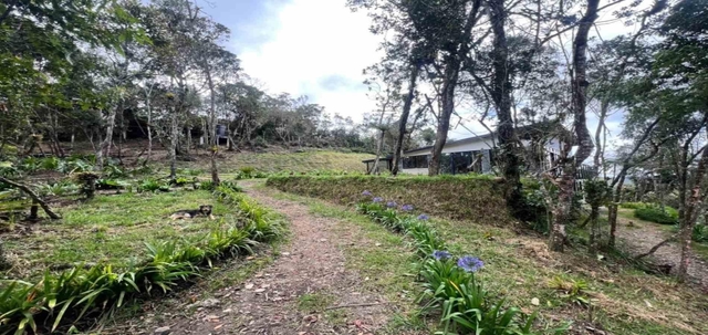 Finca en venta ubicada en Medellín, sector Piedras Blancas