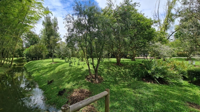Lote en venta ubicado en Rionegro, sector Club Llanogrande
