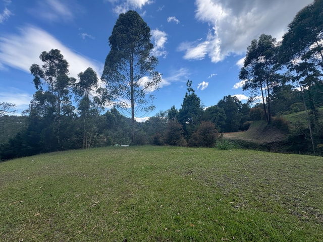 Lote en venta ubicado en El Retiro, sector Don Diego