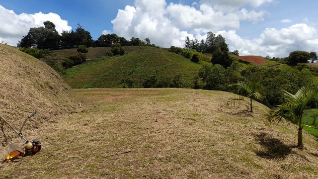 Lote en venta ubicado en El Carmen de Viboral, sector Canada