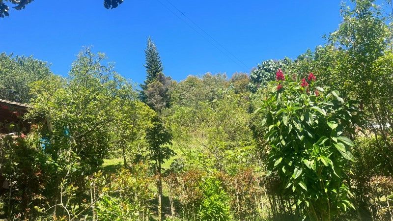 Casa en venta ubicada en Rionegro, sector Las Cuchillas