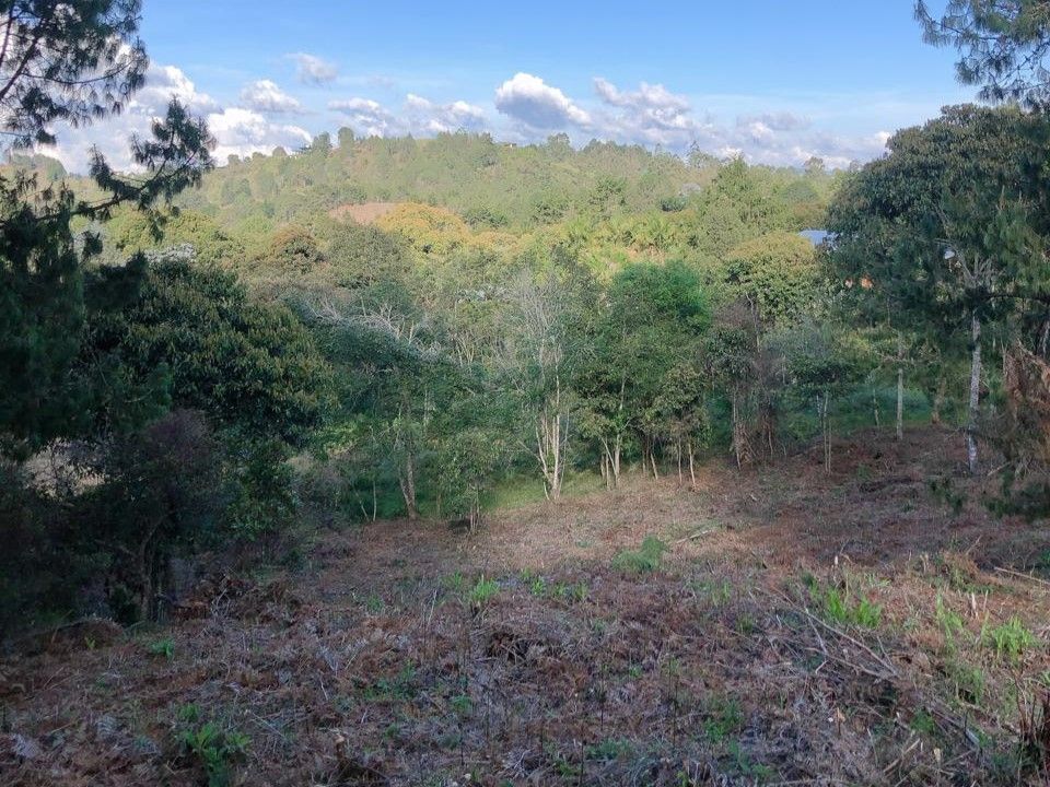Lote en venta ubicado en Rionegro, sector Sajonia