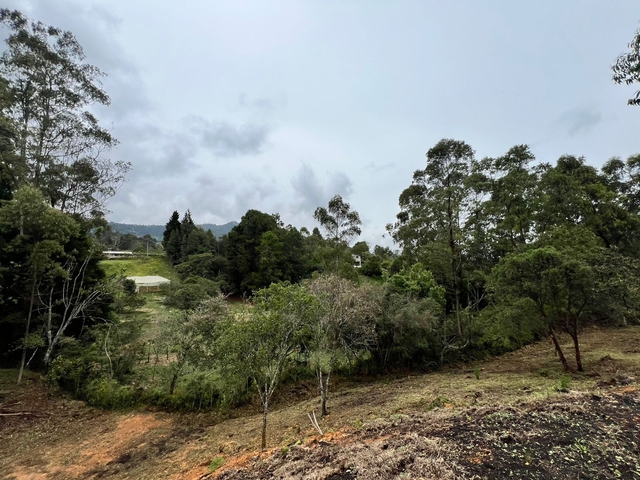 Lote en venta ubicado en Guarne, sector Vereda la Clara