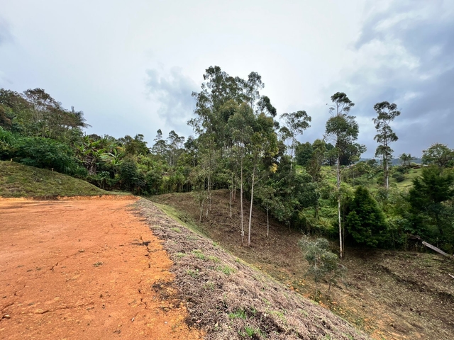 Lote en venta ubicado en Guarne, sector Vereda la Clara