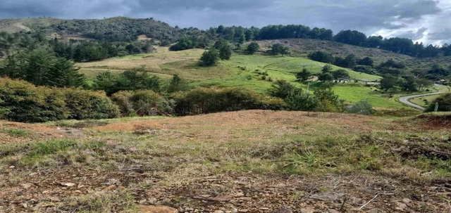 Lote en venta ubicado en El Retiro, sector El Chuscal
