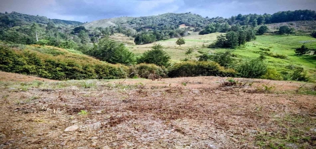 Lote en venta ubicado en El Retiro, sector El Chuscal