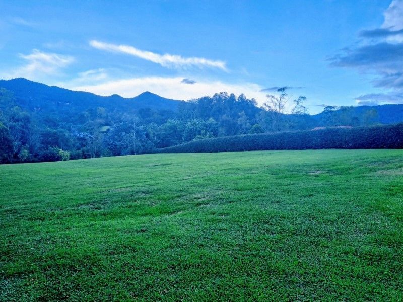 Lote en venta ubicado en La Ceja, sector El Yarumo