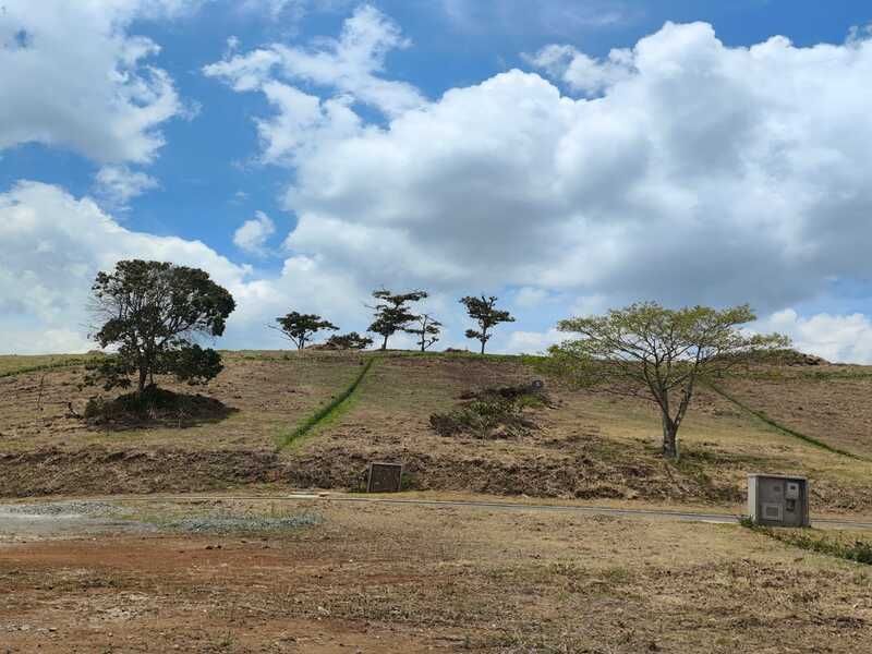 Lote en venta ubicado en La Ceja, sector Cantarrana
