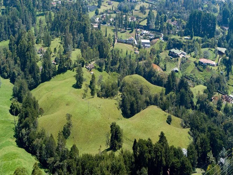 Lote en venta ubicado en La Ceja, sector Las Lomitas