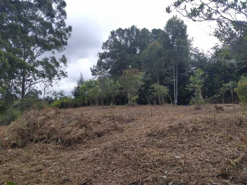 Lote en venta ubicado en Rionegro, sector Los Pinos
