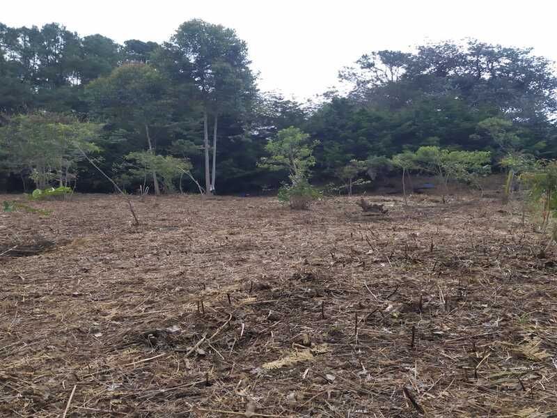 Lote en venta ubicado en Rionegro, sector Los Pinos
