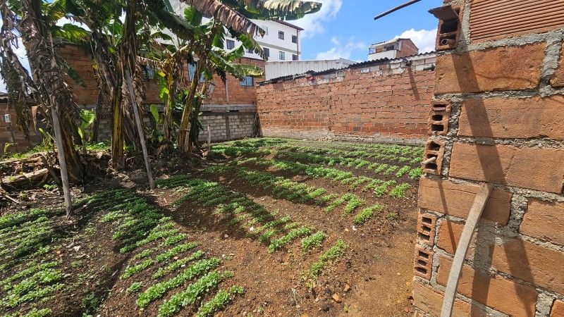 Lote en venta ubicado en La Ceja, sector Centro