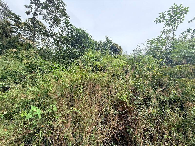 Lote en venta ubicado en El Retiro, sector Vereda las Sordas