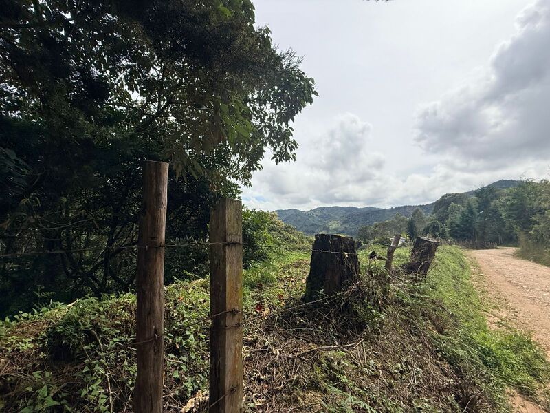 Lote en venta ubicado en El Retiro, sector Vereda las Sordas