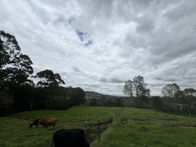 Lote en venta ubicado en La Ceja, sector Vereda el Guamito