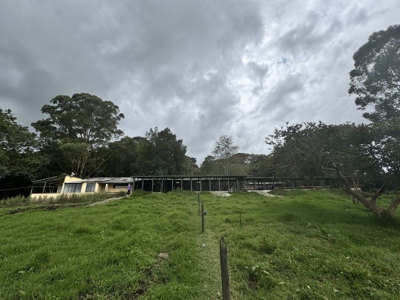 Lote en venta ubicado en La Ceja, sector Vereda el Guamito