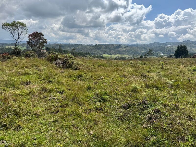 Lote en venta ubicado en San Vicente Ferrer, sector Las Ovejas