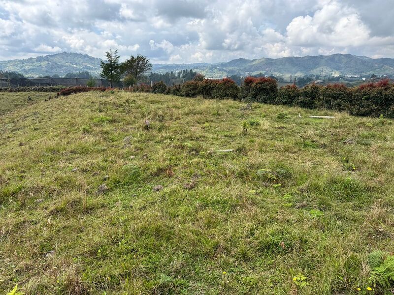 Lote en venta ubicado en San Vicente Ferrer, sector Las Ovejas