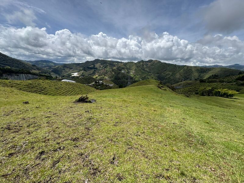 Lote en venta ubicado en La Ceja, sector Vereda las Piedras