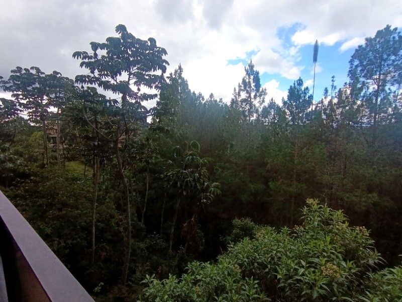 APARTAMENTO EN ARRIENDO UBICADO EN EL RETIRO SECTOR FIZEBAD
