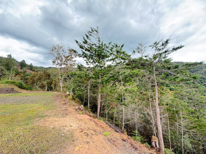 LOTE EN VENTA UBICADO EN LA CEJA SECTOR PUYACO