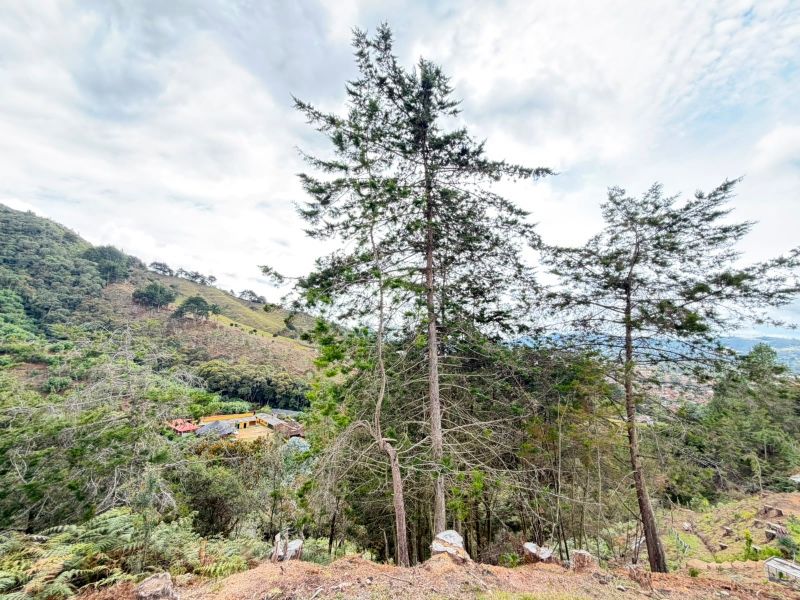 LOTE EN VENTA UBICADO EN LA CEJA SECTOR PUYACO