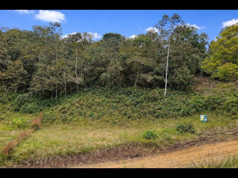 LOTE EN VENTA UBICADO EN EL RETIRO SECTOR PANTANILLO